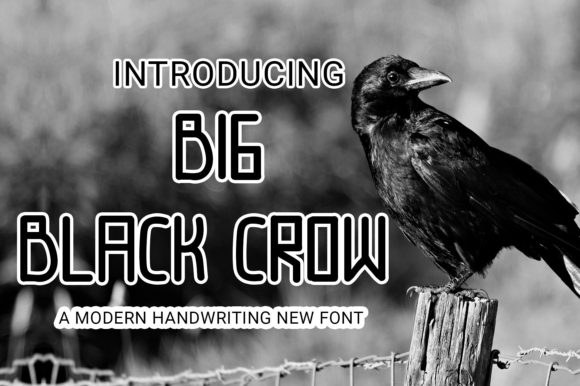 Big Black Crow: A Bold Display Font for Marketers